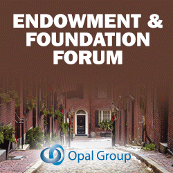 Endowment & Foundation Forum  organized by Opal group