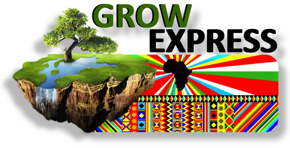 Logo of GrowExpress Ltd