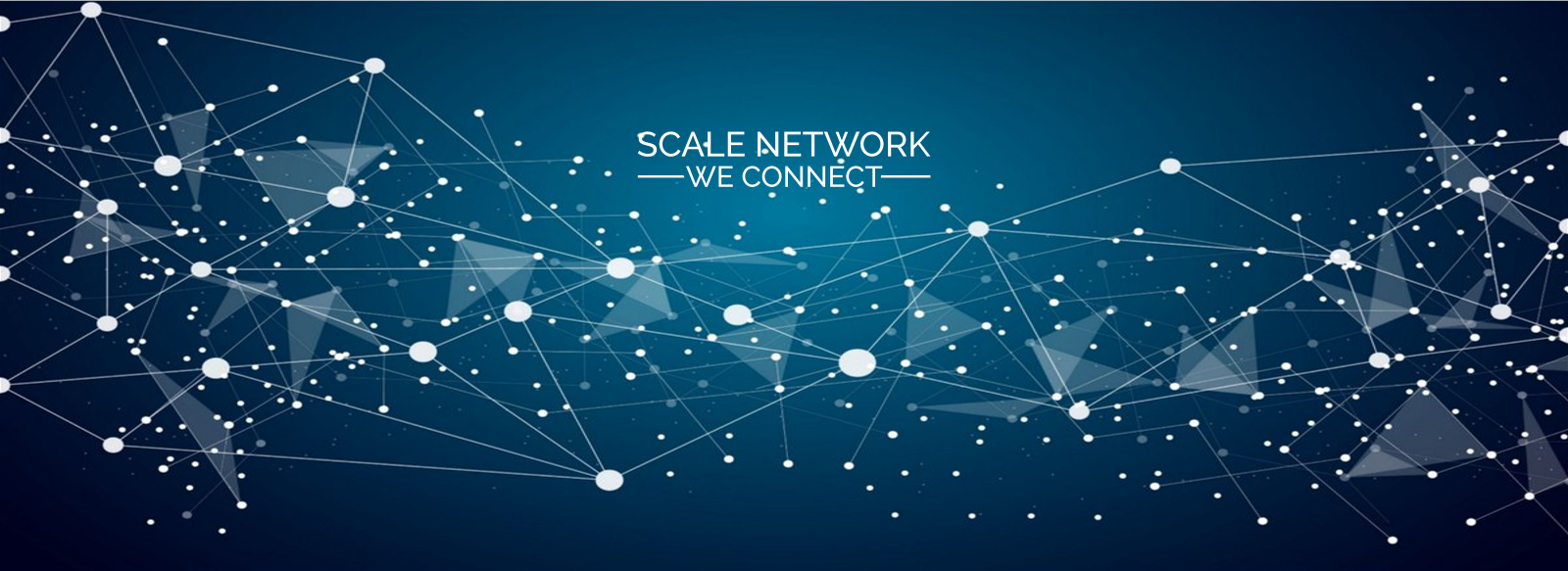 Logo of Network