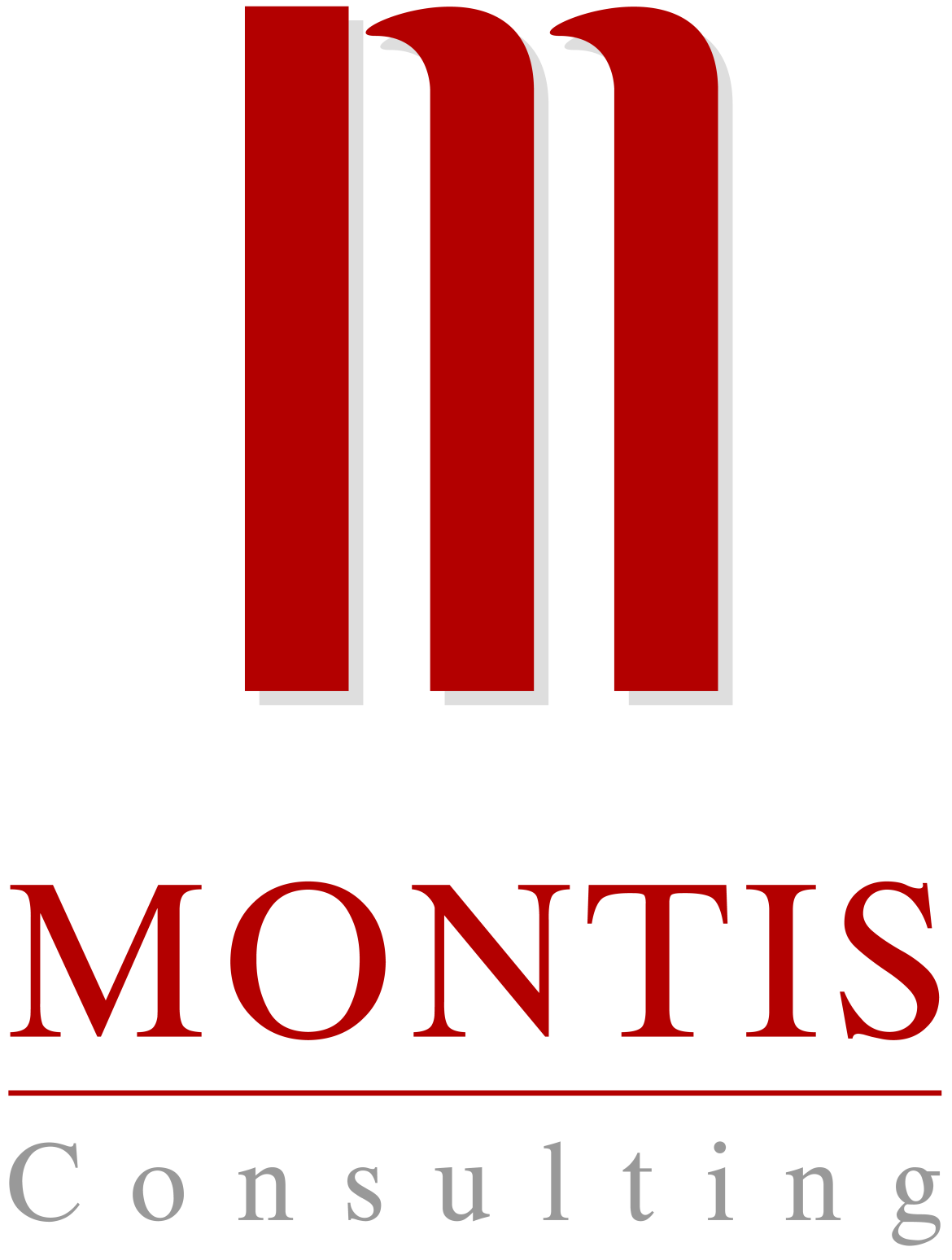 Logo of Montis Consulting AG