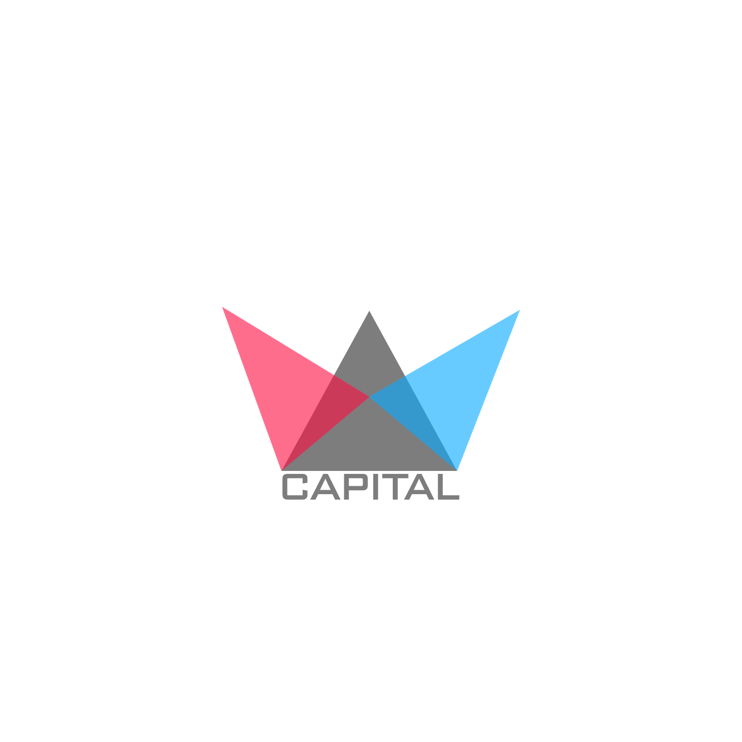 Logo of W CAPITAL