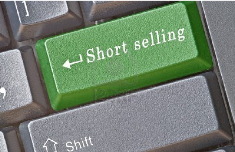 Article about An ode to short-sellers