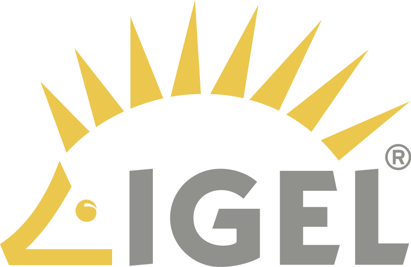 Article about IGEL to Receive Growth Investment from TA Associates