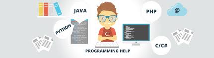 Article about How Can I Access Programming Assignment Help