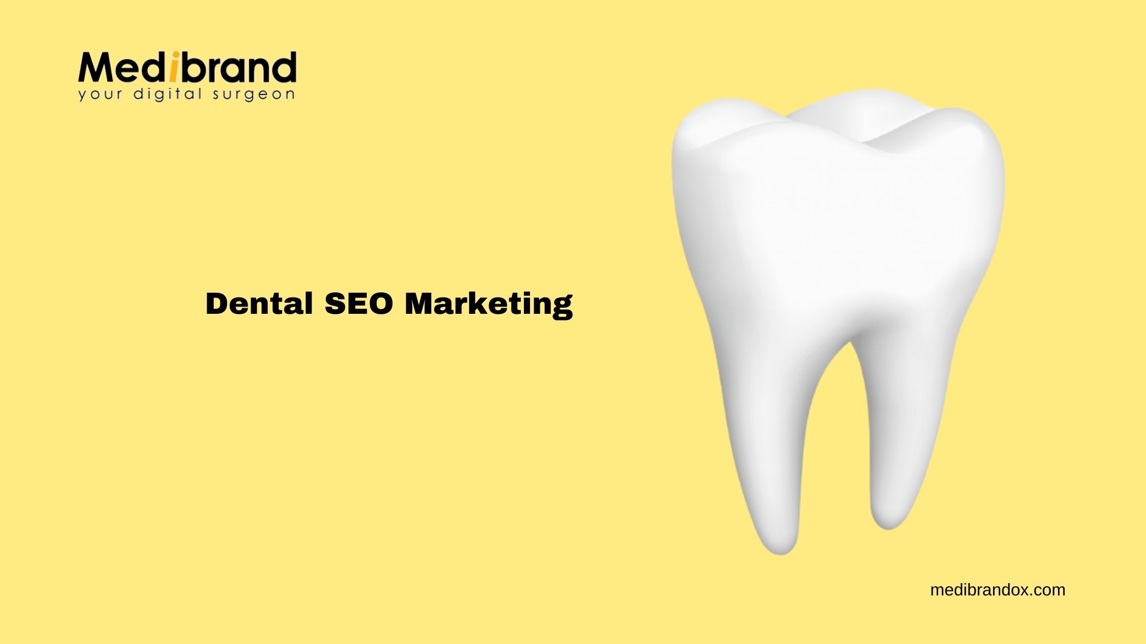 Article about SEO Marketing Company for Dentists and Dental Clinic