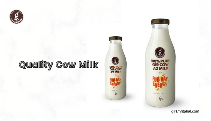 Article about Natural Top Quality Cow Milk in Delhi | Fresh Cow Milk