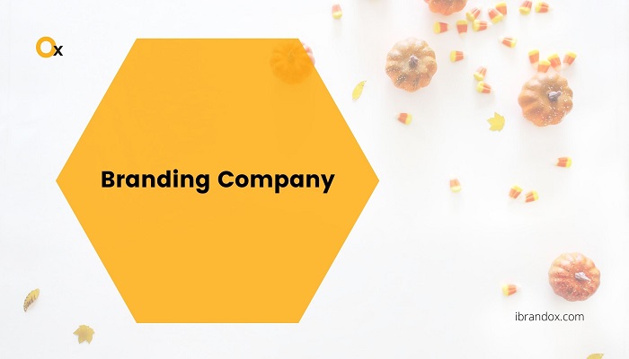 Article about Hire Best Branding Company in Delhi | iBrandox