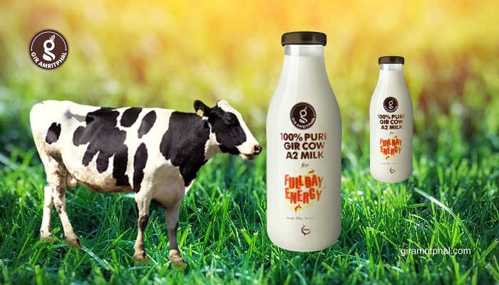Article about Pure High-Quality Natural Cow Milk in Delhi