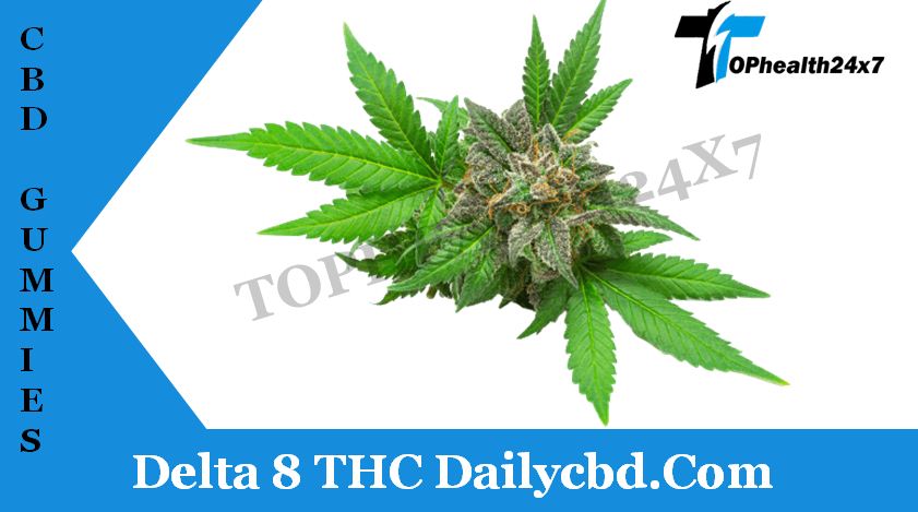 Article about How To Work Delta 8 THC Dailycbd Com - Tophealth24x7.Com