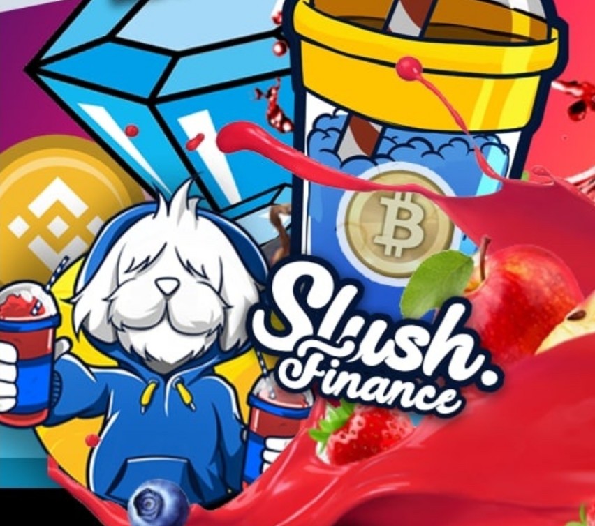 Logo of Slush Finance