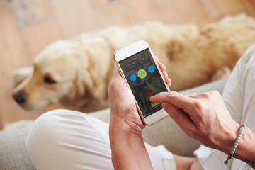 Article about Uber for Dog Sitting - A Dog Sitting Business Idea for Startup