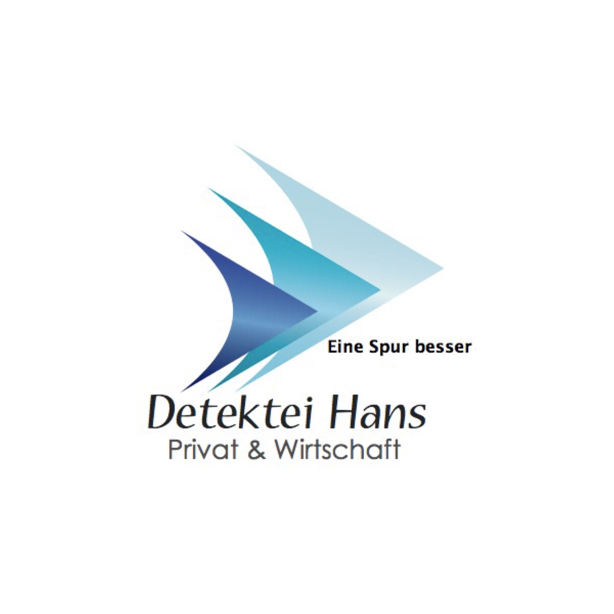 Logo of Detektei Hans