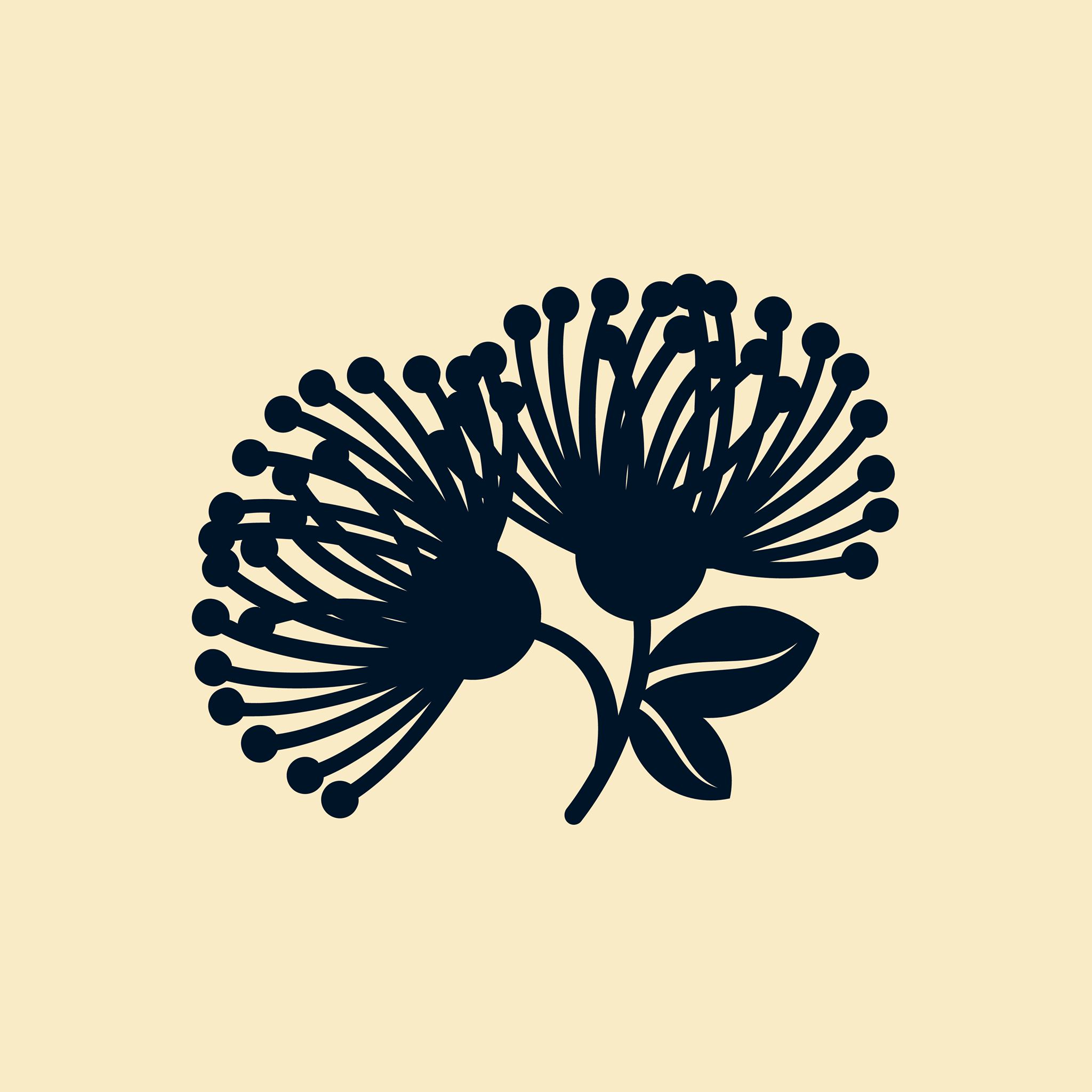 Logo of Progress New Zealand