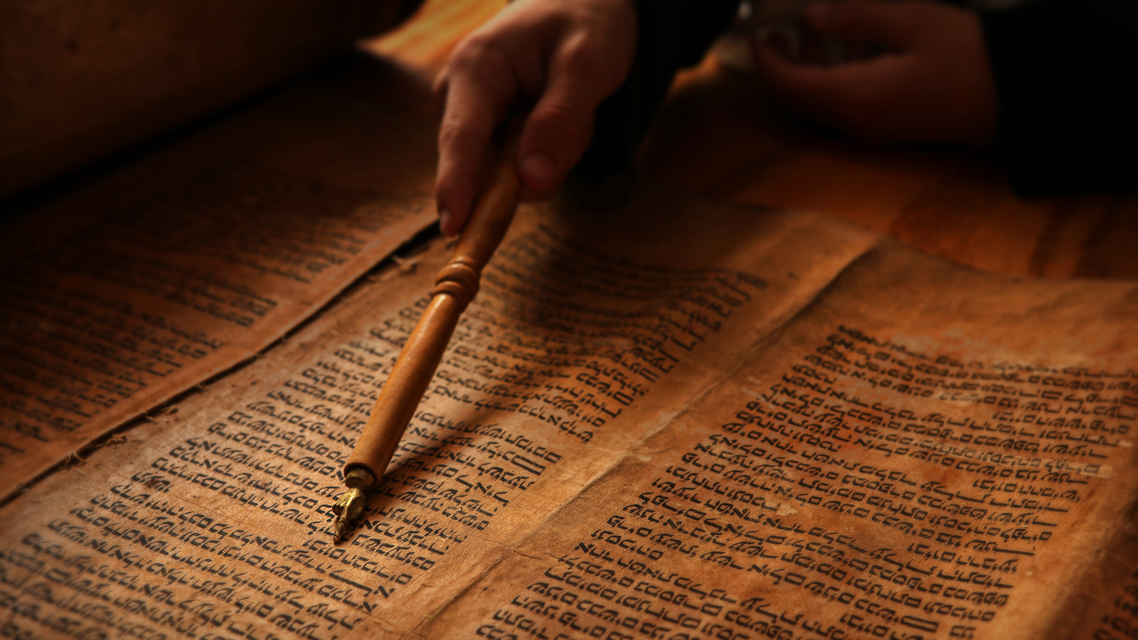 Article about What the Torah Teaches Us