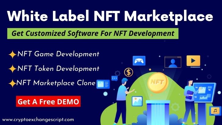 Article about How White Label NFT Marketplace Suits your business development