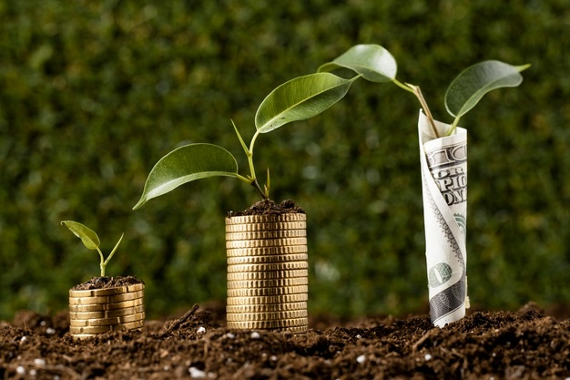 Article about Elevate your business pitch quickly DeFi Yield Farming Development Services