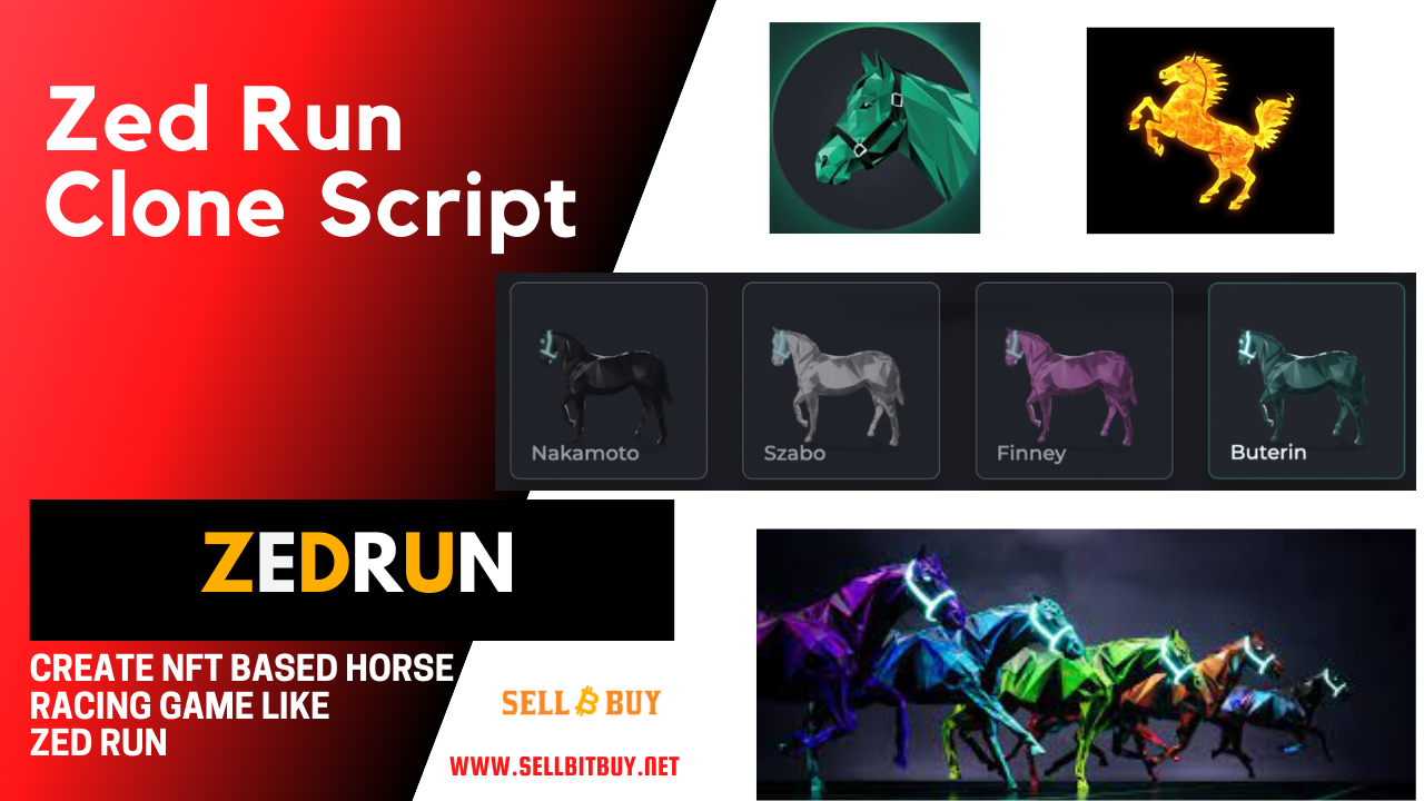 Article about ZedRun NFT- Everything You Must Know To Launch A Horse Racing Gaming Platform