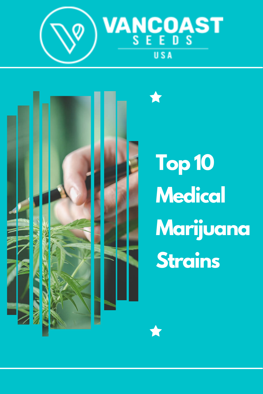 Article about Top 10 Medical Marijuana Strains
