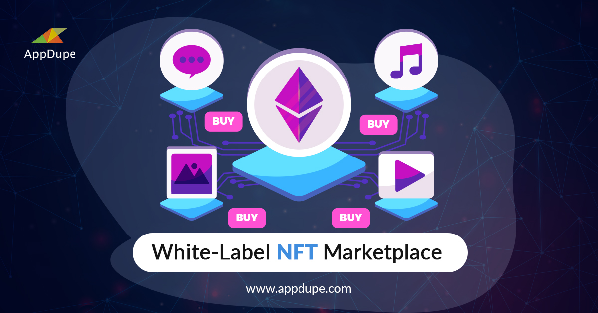 Article about The top White-label NFT Marketplace Solutions that you need to know