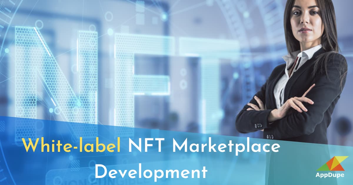 Article about Ready-made NFT Marketplace for Building a Collaborative NFTverse