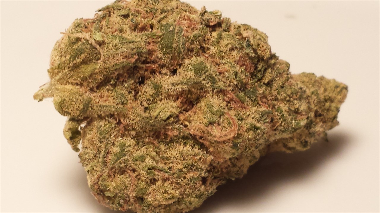 Article about Love Potion Strain: Features, Facts and Much More!