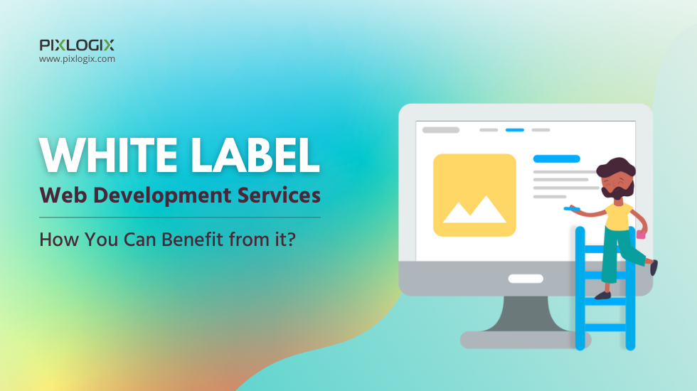 Article about White Label Web Development Services – How you can get benefit from it