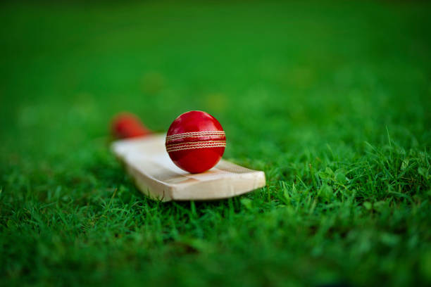 Article about About: Cricket