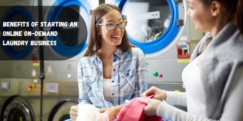Article about Benefits Of Starting An Online On-demand Laundry Business