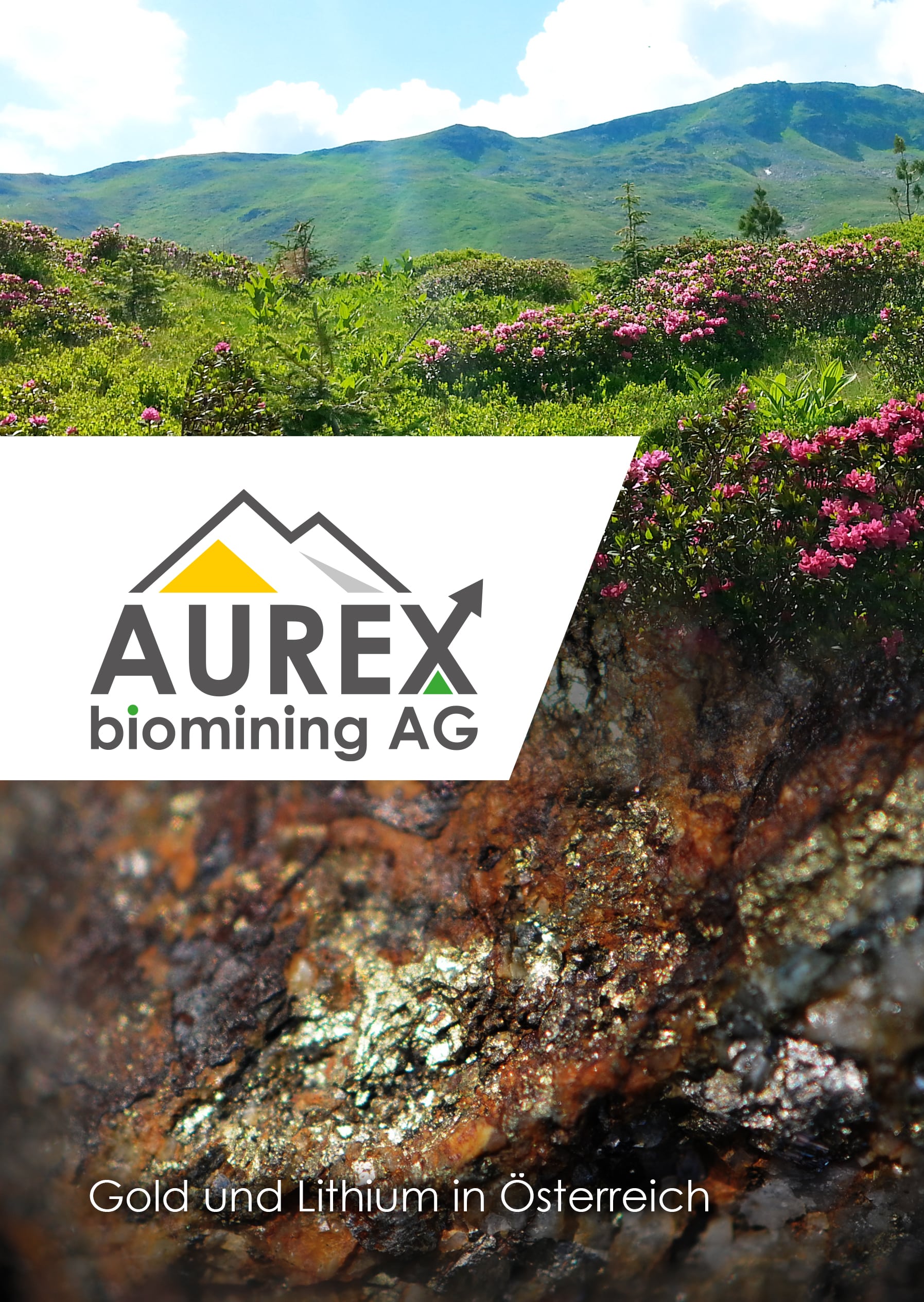 Article about AUREX Biomining AG - Firmenbeteiligung - Aktien im Wert von 600.000 Euro, sowohl als Gesamtpaket, als auch in Teilen. 