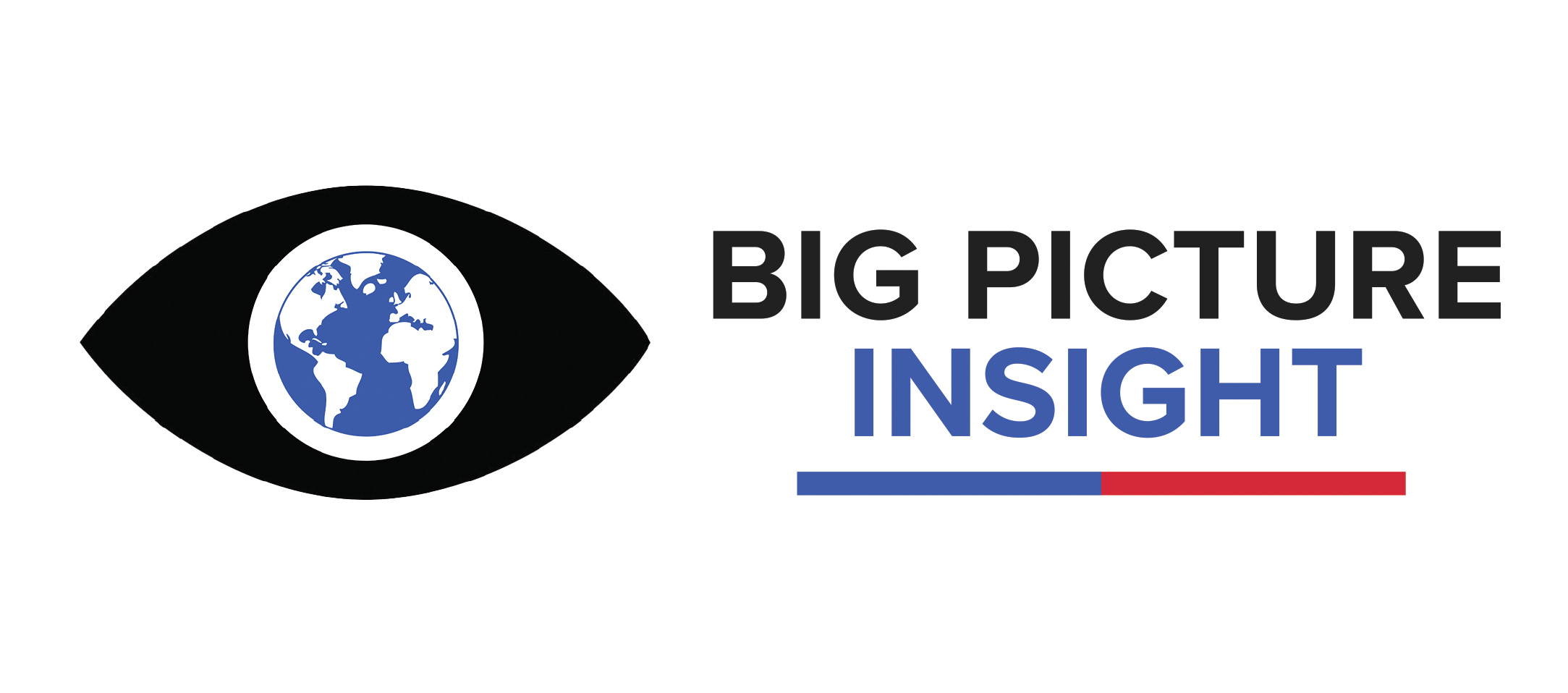 Logo of Big Picture Insight