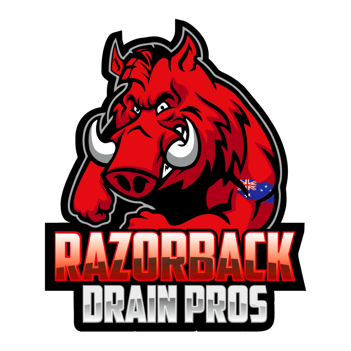 Logo of Razorback Drain Pros