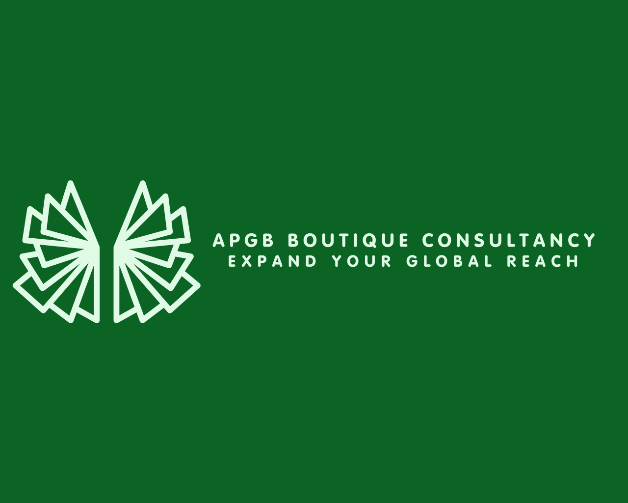 Doing Business in Mozambique organized by APGB Boutique Consultancy