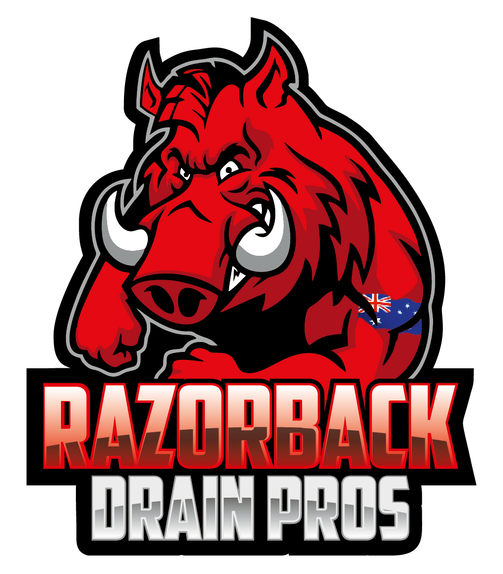 Razorback Drain activities: Associate, Operations, Trader, Strategy/Asset Allocation, , , Owner